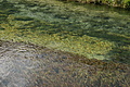 DSC04298 - Bernhard Saalfeld