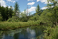 DSC04307 - Bernhard Saalfeld