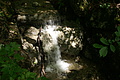 DSC04321 - Bernhard Saalfeld
