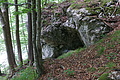 DSC04322 - Bernhard Saalfeld