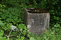 DSC04324 - Bernhard Saalfeld