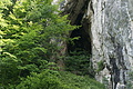 DSC04328 - Bernhard Saalfeld