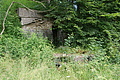 DSC04331 - Bernhard Saalfeld