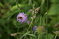 DSC04335 - Bernhard Saalfeld