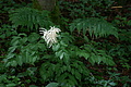 DSC04340 - Bernhard Saalfeld