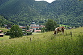 DSC04348 - Bernhard Saalfeld