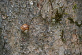 DSC04349 - Bernhard Saalfeld