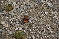 DSC04351 - Bernhard Saalfeld