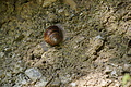 DSC04473 - Bernhard Saalfeld