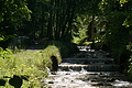 DSC04477 - Bernhard Saalfeld