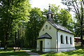 DSC04478 - Bernhard Saalfeld