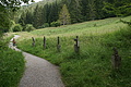 DSC04481 - Bernhard Saalfeld