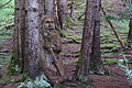 DSC04483 - Bernhard Saalfeld