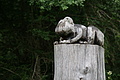 DSC04484 - Bernhard Saalfeld