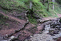 DSC04490 - Bernhard Saalfeld