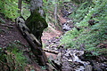 DSC04491 - Bernhard Saalfeld