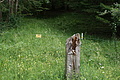 DSC04493 - Bernhard Saalfeld