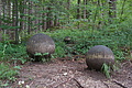 DSC04503 - Bernhard Saalfeld