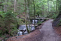 DSC04504 - Bernhard Saalfeld
