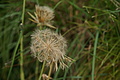 DSC04507 - Bernhard Saalfeld