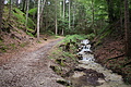 DSC04509 - Bernhard Saalfeld