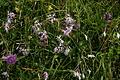 DSC04510 - Bernhard Saalfeld