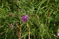 DSC04511 - Bernhard Saalfeld
