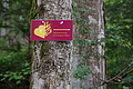 DSC04514 - Bernhard Saalfeld