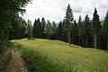 DSC04516 - Bernhard Saalfeld
