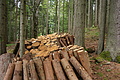 DSC04518 - Bernhard Saalfeld