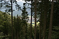 DSC04520 - Bernhard Saalfeld
