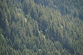 DSC04524 - Bernhard Saalfeld