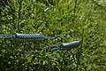 DSC04525 - Bernhard Saalfeld