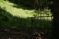 DSC04528 - Bernhard Saalfeld