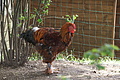 DSC04532 - Bernhard Saalfeld