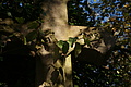 DSC07047 - Bernhard Saalfeld