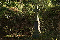 DSC07048 - Bernhard Saalfeld