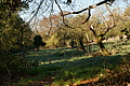 DSC07049 - Bernhard Saalfeld