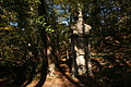 DSC07050 - Bernhard Saalfeld