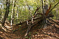 DSC07051 - Bernhard Saalfeld