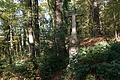 DSC07052 - Bernhard Saalfeld