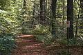DSC07053 - Bernhard Saalfeld