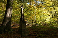 DSC07054 - Bernhard Saalfeld