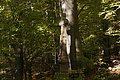 DSC07055 - Bernhard Saalfeld