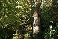 DSC07056 - Bernhard Saalfeld