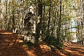 DSC07060 - Bernhard Saalfeld