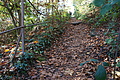 DSC07062 - Bernhard Saalfeld