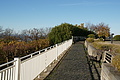 DSC07067 - Bernhard Saalfeld