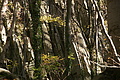 DSC07079 - Bernhard Saalfeld