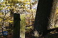 DSC07088 - Bernhard Saalfeld